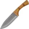 Condor Pictus Knife -Knife Promotional Store pictus1